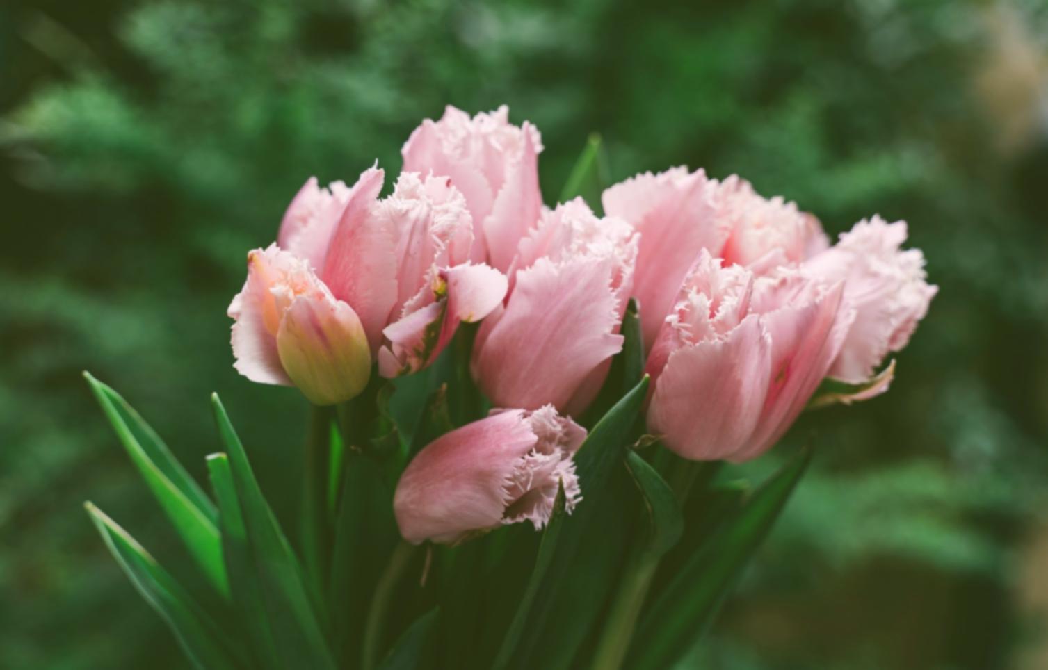Floral design technique demonstration